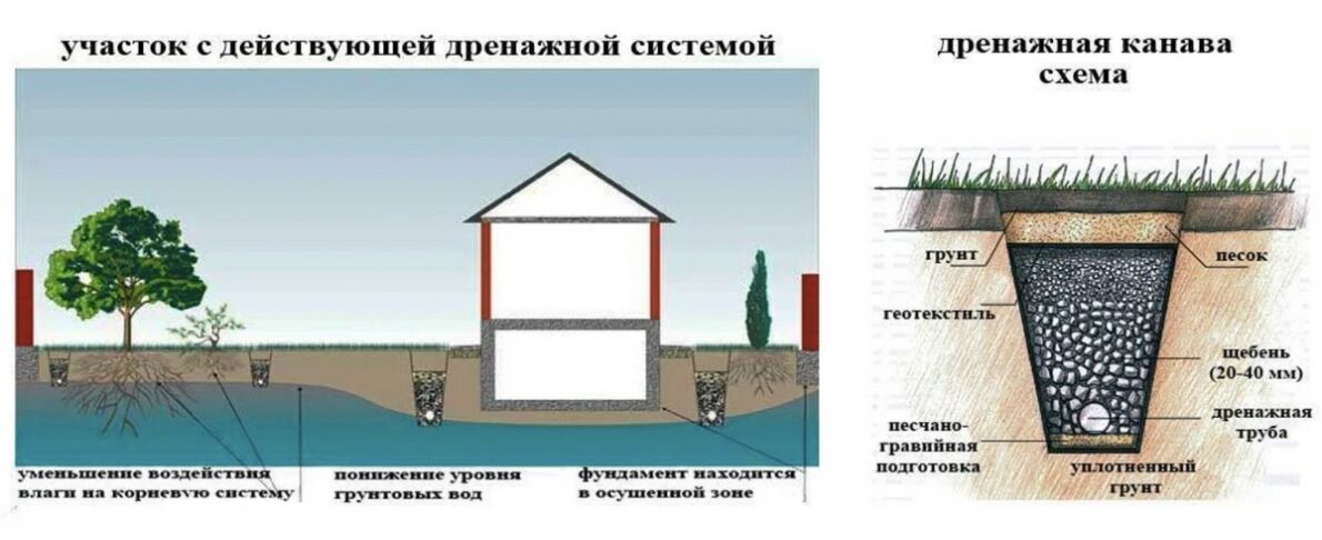 Схема дренажа