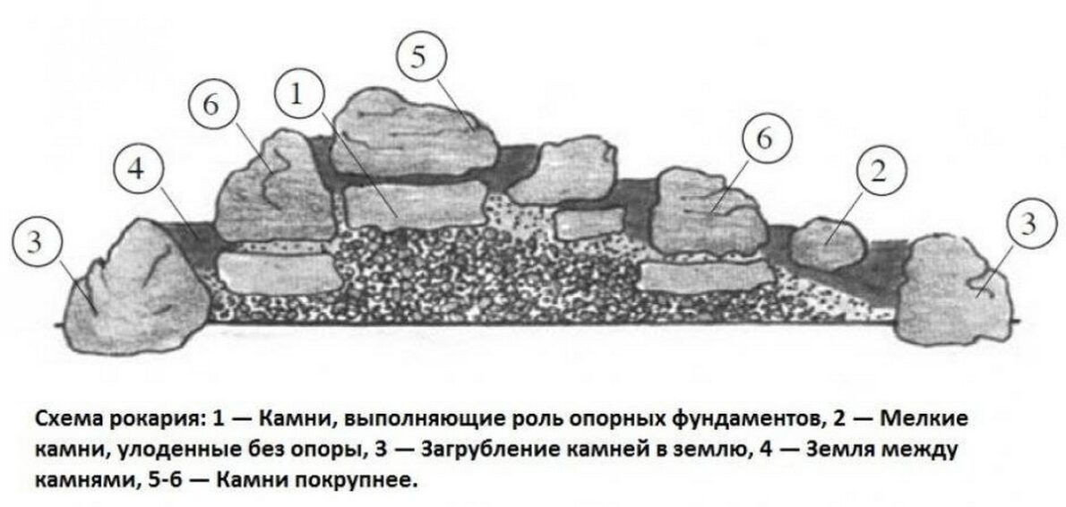 Схема рокария