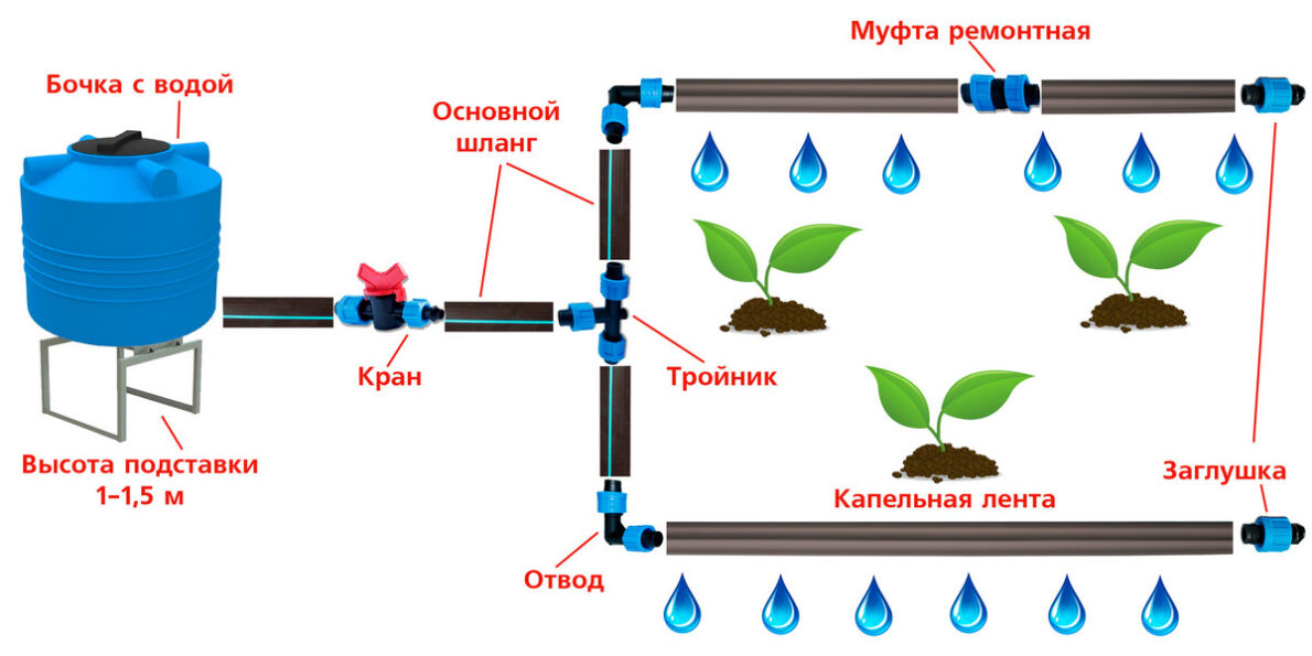 Схема капельного полива